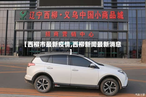 【西柳市最新疫情,西柳新闻最新消息】-第3张图片
