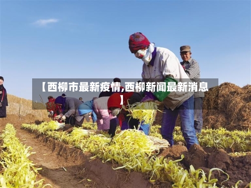 【西柳市最新疫情,西柳新闻最新消息】-第2张图片
