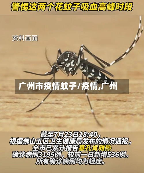 广州市疫情蚊子/疫情,广州-第3张图片