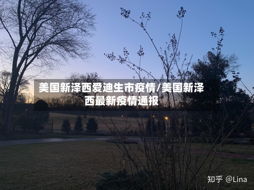 美国新泽西爱迪生市疫情/美国新泽西最新疫情通报