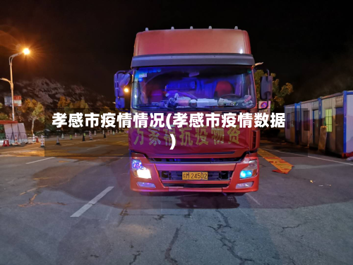 孝感市疫情情况(孝感市疫情数据)-第3张图片