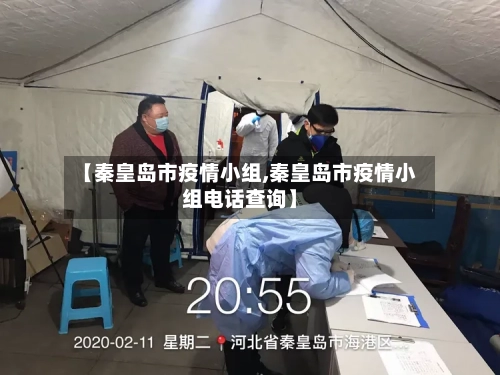 【秦皇岛市疫情小组,秦皇岛市疫情小组电话查询】