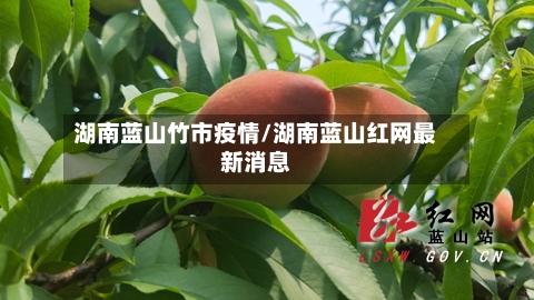 湖南蓝山竹市疫情/湖南蓝山红网最新消息