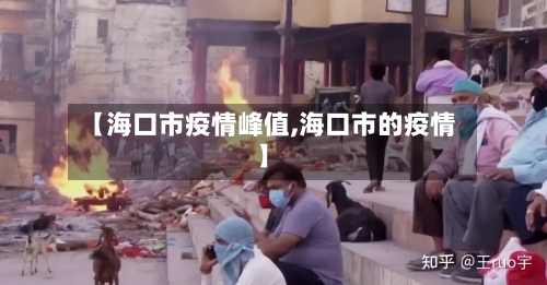 【海口市疫情峰值,海口市的疫情】