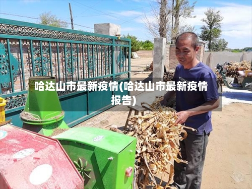 哈达山市最新疫情(哈达山市最新疫情报告)-第2张图片