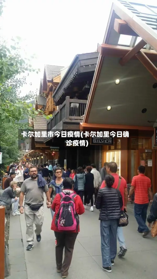 卡尔加里市今日疫情(卡尔加里今日确诊疫情)-第2张图片