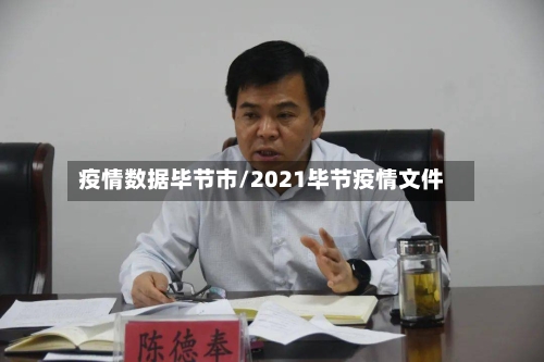 疫情数据毕节市/2021毕节疫情文件-第2张图片