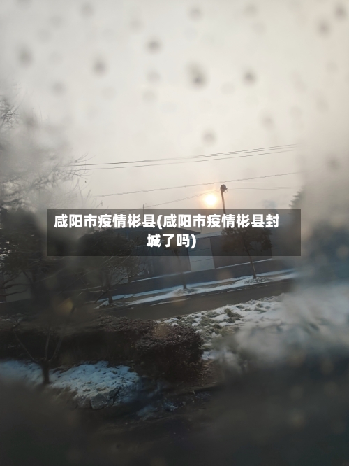 咸阳市疫情彬县(咸阳市疫情彬县封城了吗)