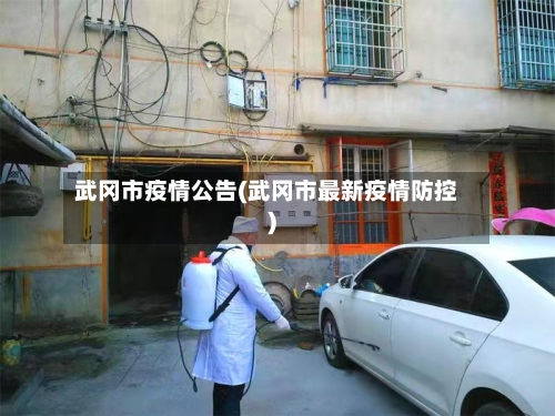 武冈市疫情公告(武冈市最新疫情防控)