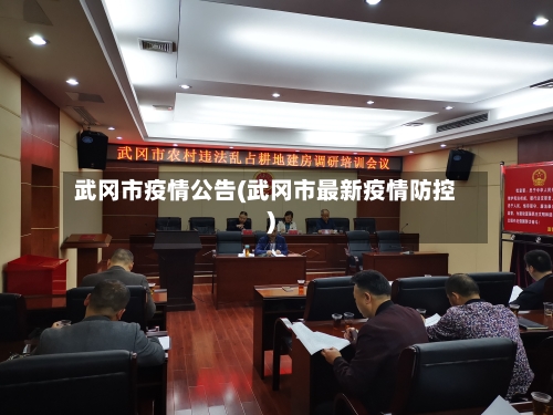武冈市疫情公告(武冈市最新疫情防控)-第2张图片
