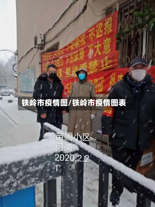 铁岭市疫情图/铁岭市疫情图表-第2张图片