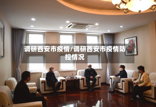 调研西安市疫情/调研西安市疫情防控情况