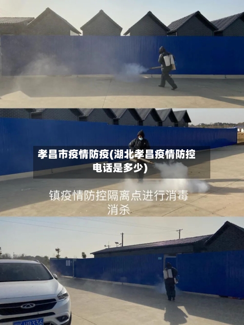 孝昌市疫情防疫(湖北孝昌疫情防控电话是多少)-第2张图片