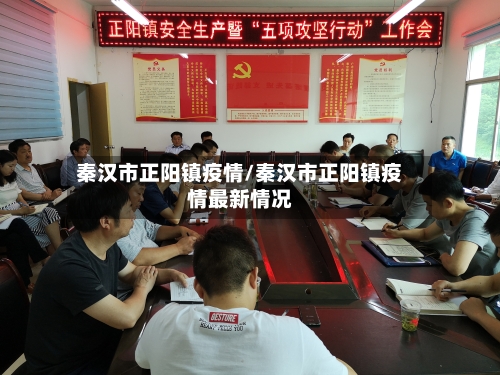 秦汉市正阳镇疫情/秦汉市正阳镇疫情最新情况-第2张图片