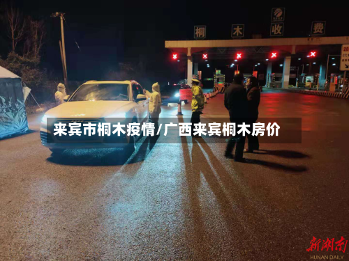 来宾市桐木疫情/广西来宾桐木房价