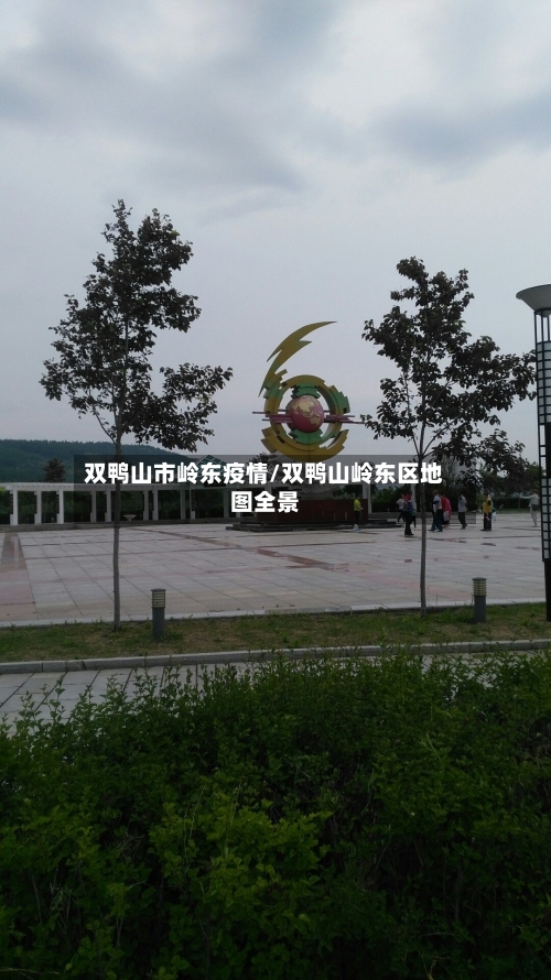 双鸭山市岭东疫情/双鸭山岭东区地图全景