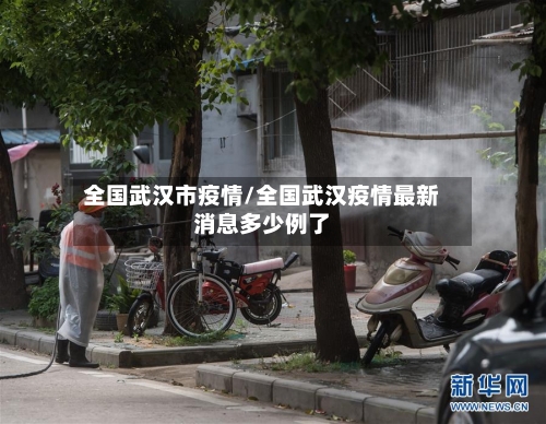 全国武汉市疫情/全国武汉疫情最新消息多少例了