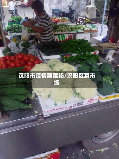 汉阳市疫情期菜场/汉阳区菜市场