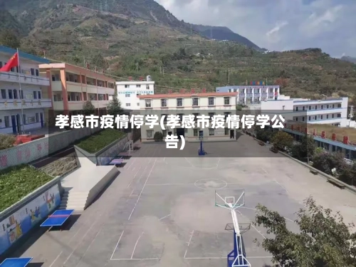 孝感市疫情停学(孝感市疫情停学公告)