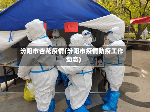 汾阳市杏花疫情(汾阳市疫情防疫工作动态)