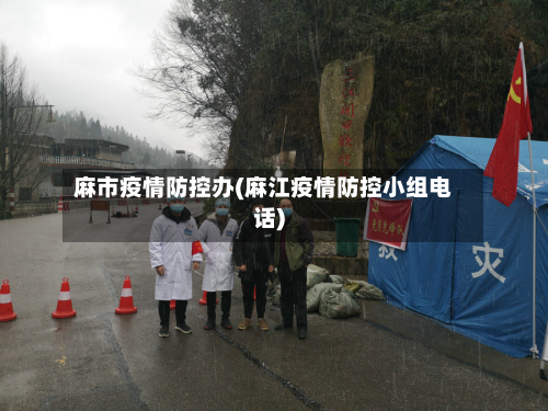 麻市疫情防控办(麻江疫情防控小组电话)