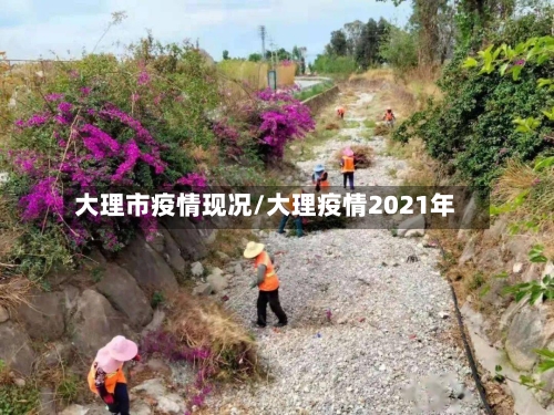 大理市疫情现况/大理疫情2021年