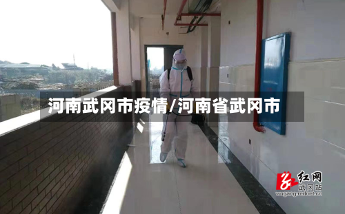 河南武冈市疫情/河南省武冈市