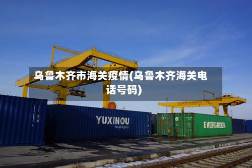 乌鲁木齐市海关疫情(乌鲁木齐海关电话号码)-第3张图片