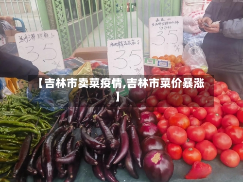 【吉林市卖菜疫情,吉林市菜价暴涨】