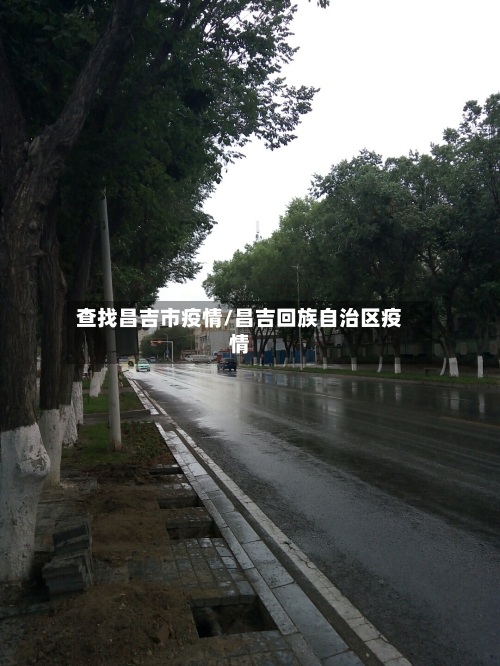 查找昌吉市疫情/昌吉回族自治区疫情