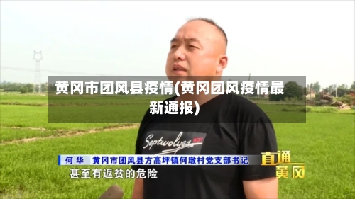 黄冈市团风县疫情(黄冈团风疫情最新通报)