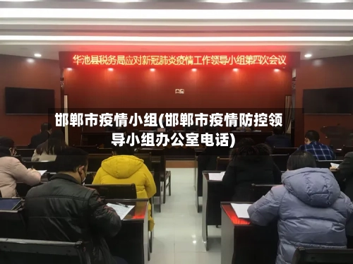 邯郸市疫情小组(邯郸市疫情防控领导小组办公室电话)-第2张图片