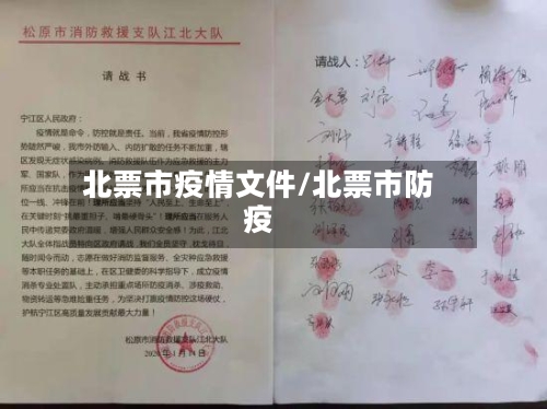 北票市疫情文件/北票市防疫