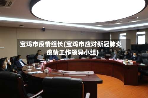 宝鸡市疫情组长(宝鸡市应对新冠肺炎疫情工作领导小组)