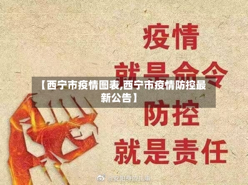 【西宁市疫情图表,西宁市疫情防控最新公告】