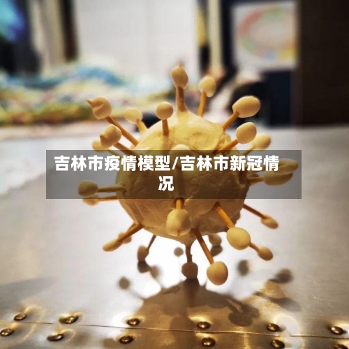 吉林市疫情模型/吉林市新冠情况-第2张图片