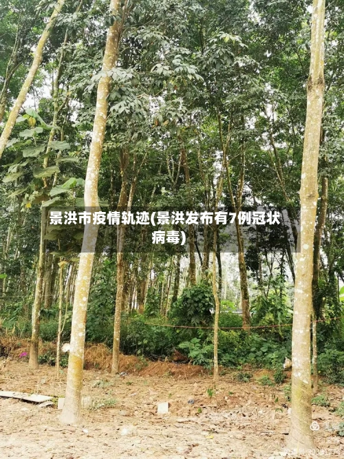 景洪市疫情轨迹(景洪发布有7例冠状病毒)