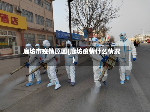 廊坊市疫情原因(廊坊疫情什么情况)
