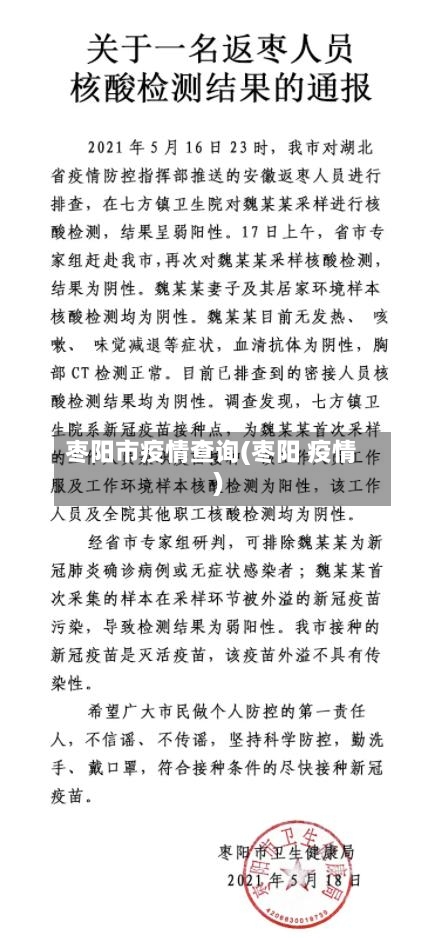 枣阳市疫情查询(枣阳 疫情)