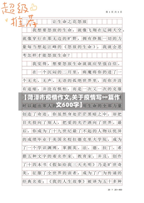 【菏泽市疫情作文,关于疫情写一篇作文600字】-第3张图片