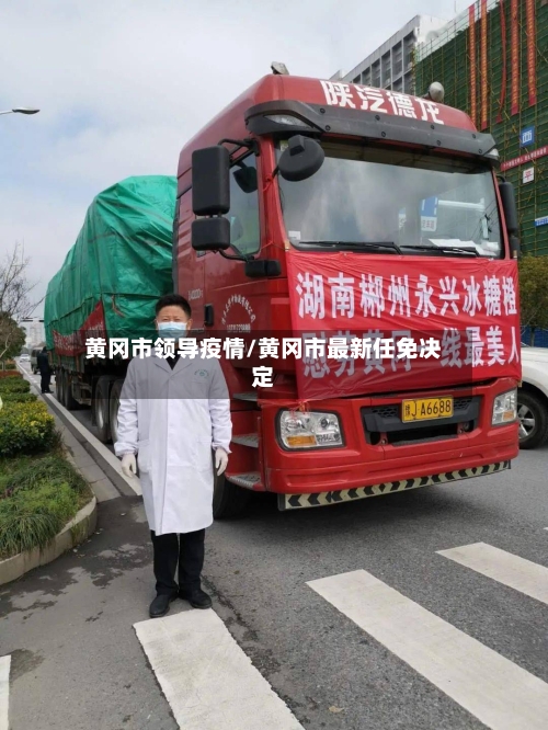 黄冈市领导疫情/黄冈市最新任免决定-第3张图片
