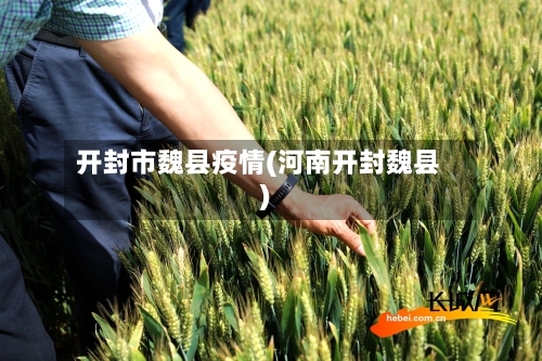 开封市魏县疫情(河南开封魏县)-第2张图片