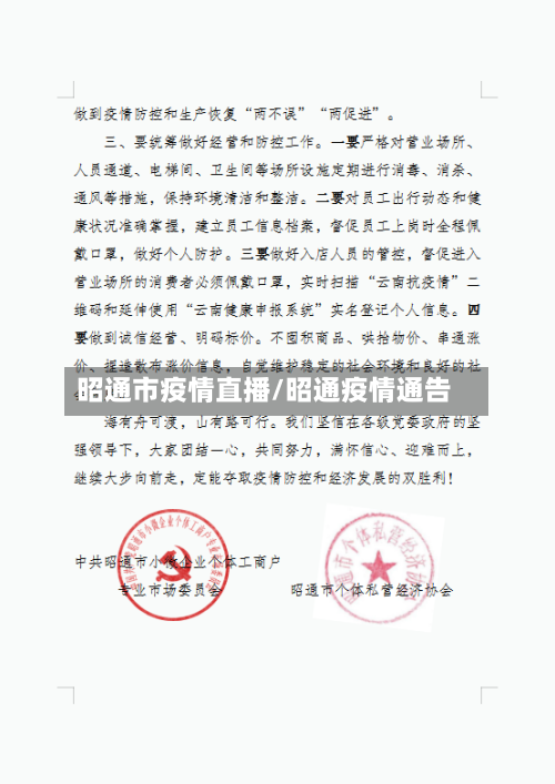 昭通市疫情直播/昭通疫情通告-第2张图片