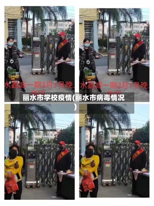 丽水市学校疫情(丽水市病毒情况)-第3张图片