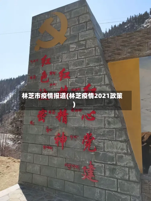 林芝市疫情报道(林芝疫情2021政策)-第3张图片