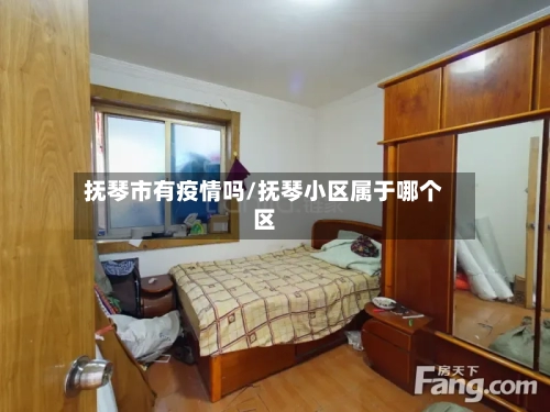 抚琴市有疫情吗/抚琴小区属于哪个区