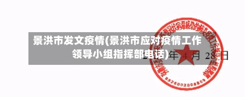 景洪市发文疫情(景洪市应对疫情工作领导小组指挥部电话)