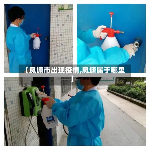 【凤塘市出现疫情,凤塘属于哪里】-第2张图片