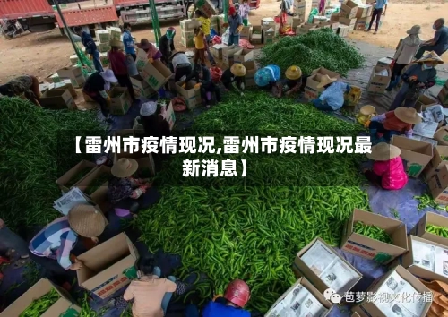 【雷州市疫情现况,雷州市疫情现况最新消息】