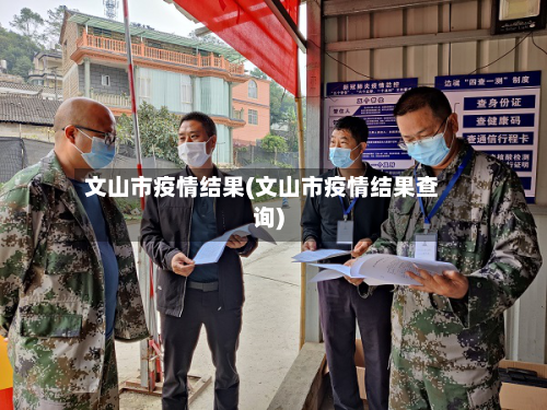 文山市疫情结果(文山市疫情结果查询)-第2张图片